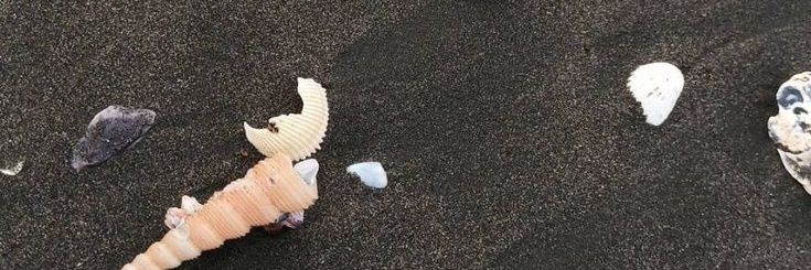 je banner