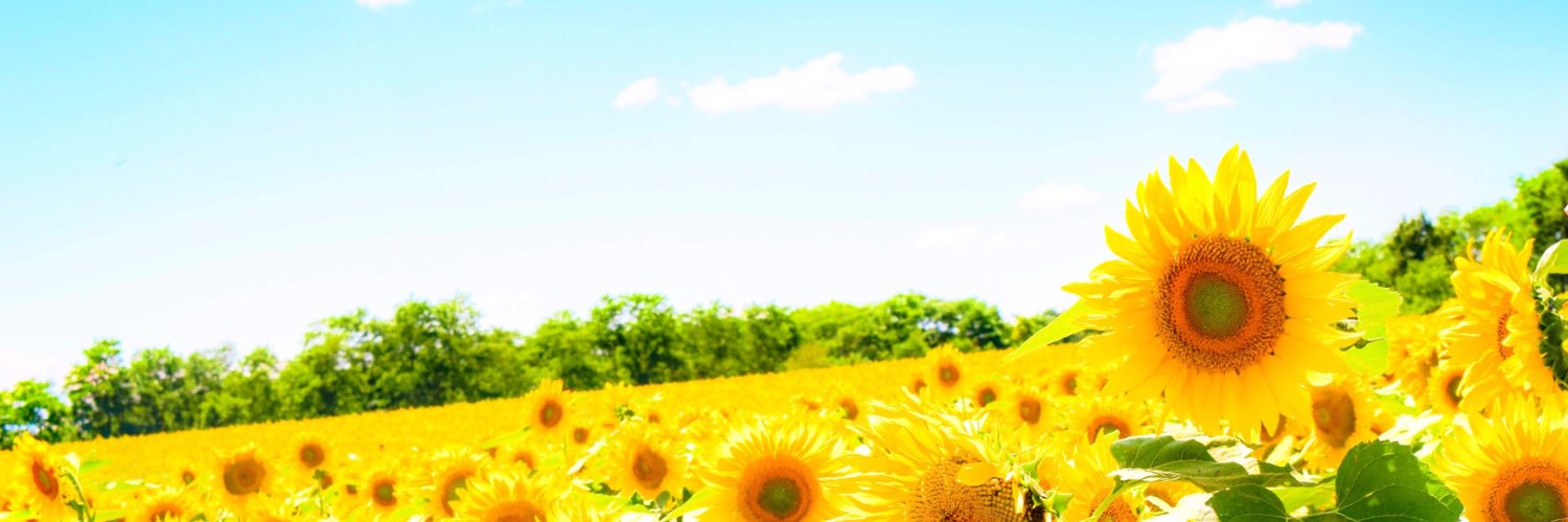 Emi_ranan's profile banner image
