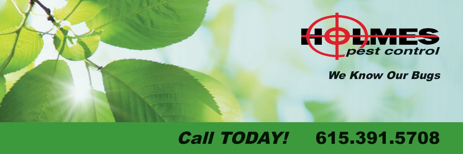 HPCBugs's profile banner image