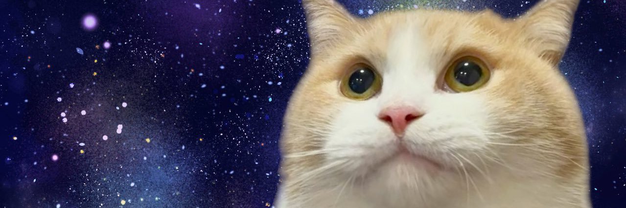 se2no_wata's profile banner image