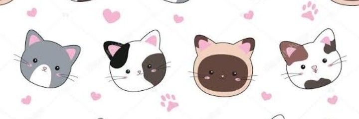 BartugBatun's profile banner image