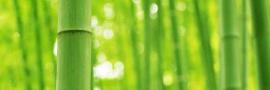 财富 banner