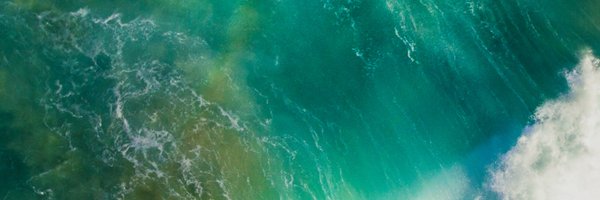 AnnMill28215764 Profile Banner