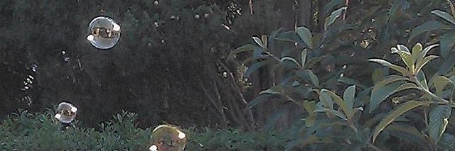 bebylovegen's profile banner image