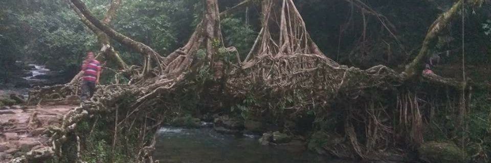 Amit Kumar🇮🇳 banner