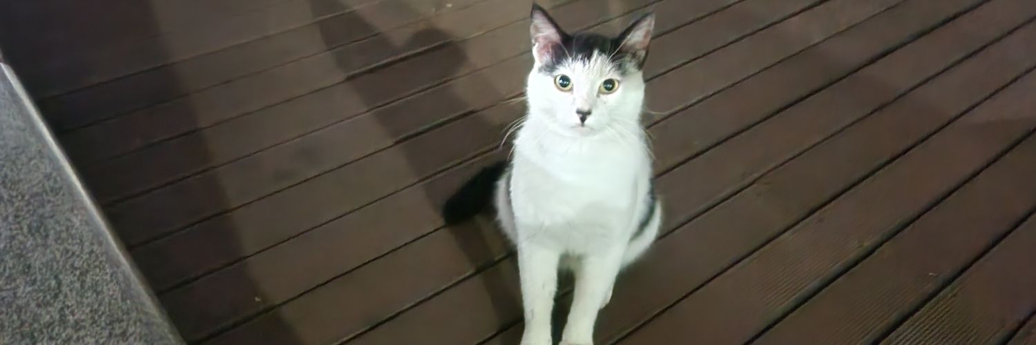 coin Art ETHGas ⛽️ $DROPEE banner