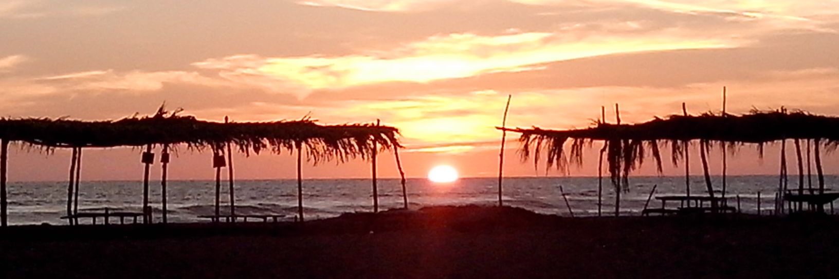 fmxgonzalez's profile banner image