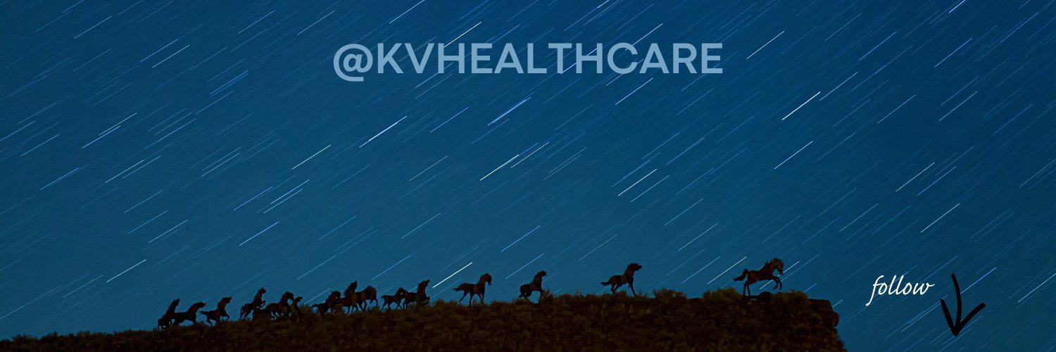 KVH banner