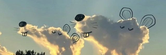 flowercuttie's profile banner image