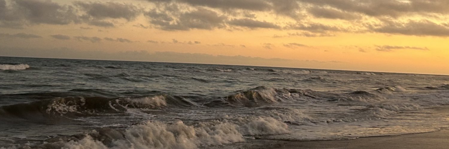 sanchezdelfi__'s profile banner image