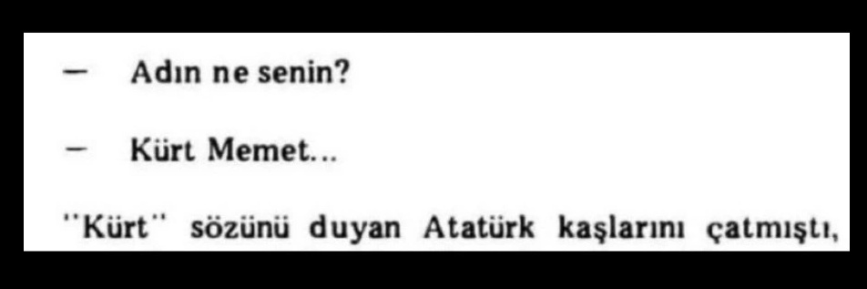 zeyurall's profile banner image