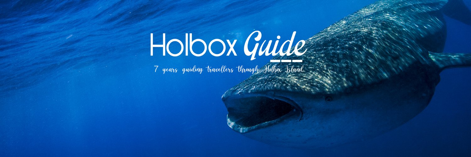 holboxguide's profile banner image