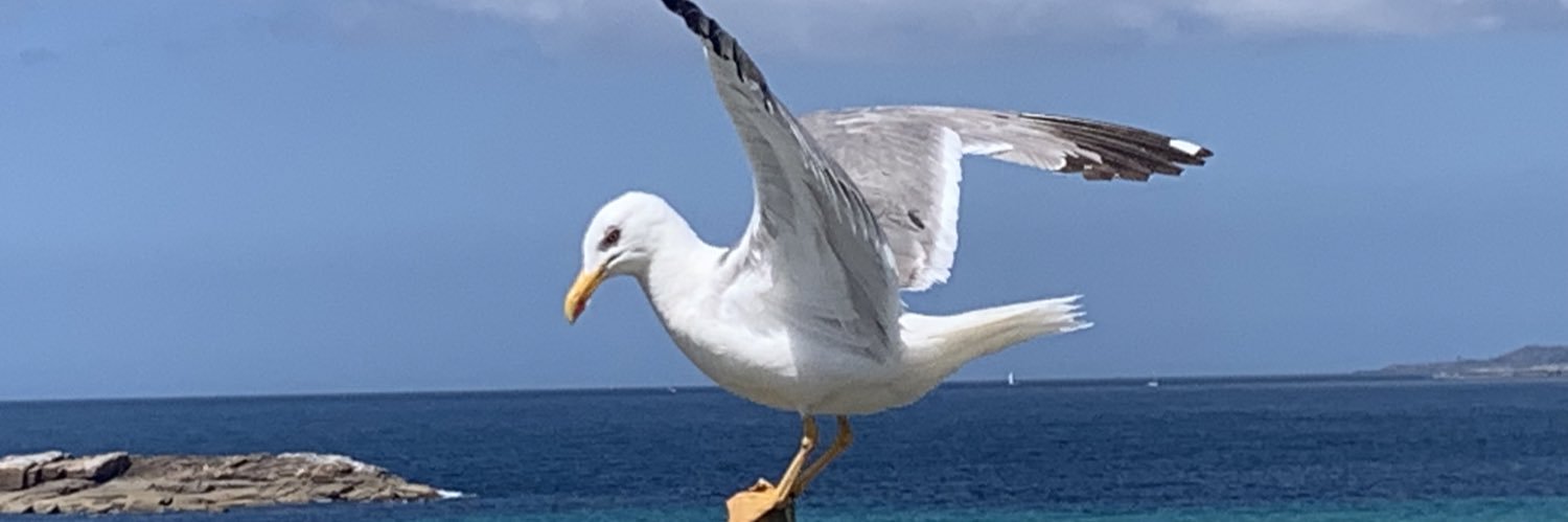 David Pacios Martinez banner