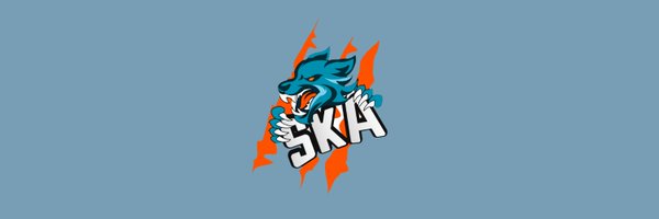 snkrskiller_acc Profile Banner