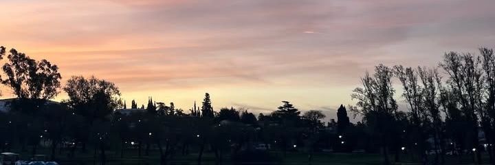 candequin_'s profile banner image