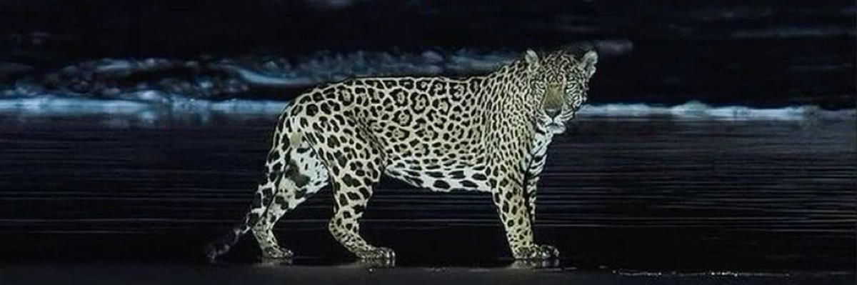 🌘🌖🌔🌒 banner