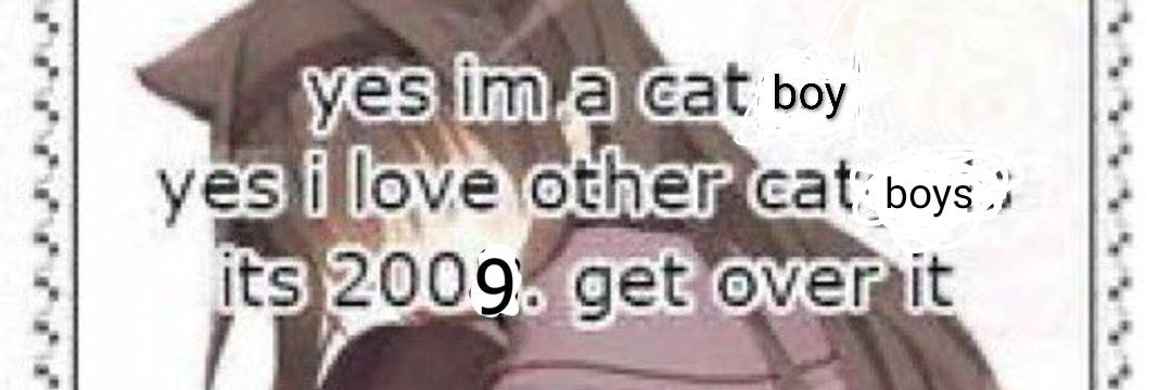 finn the genderfluid catboy (ON HIATUS)🏳️‍🌈😺 banner