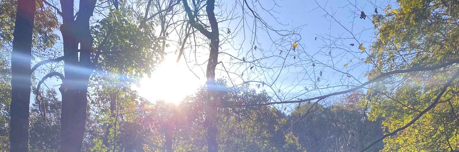 NHolbrook928's profile banner image