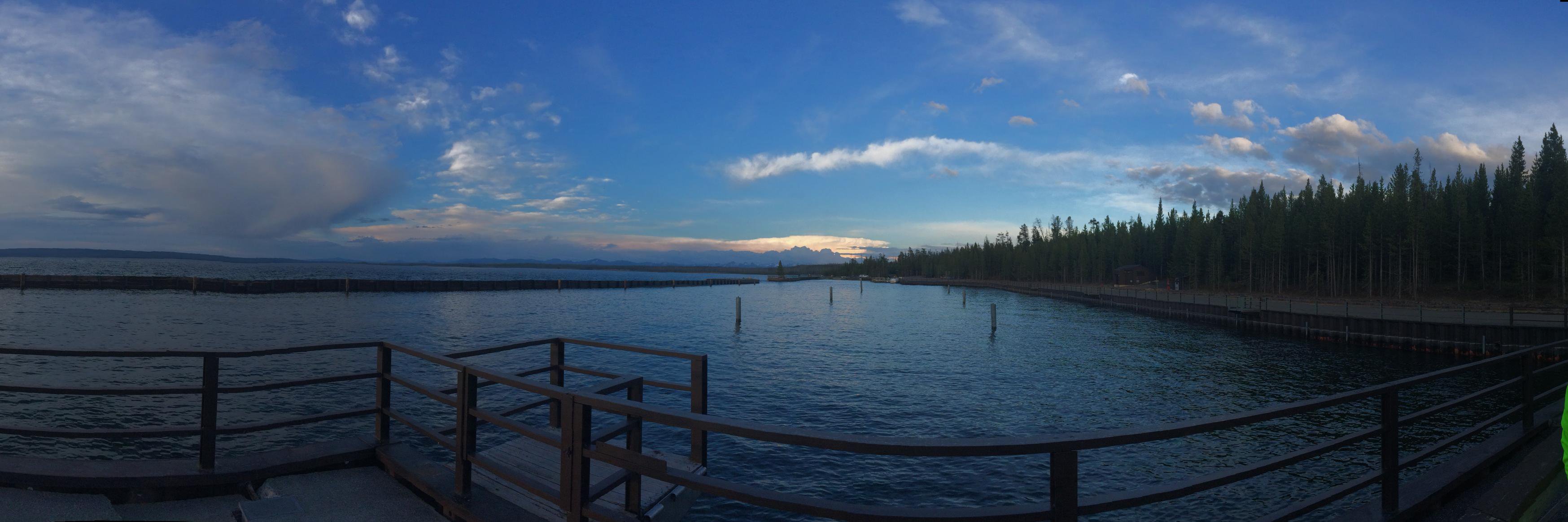 Elizabeth Mulkey banner