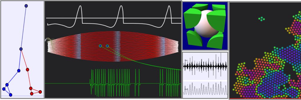 Jennifer Martay banner