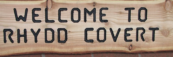 RhyddC Profile Banner