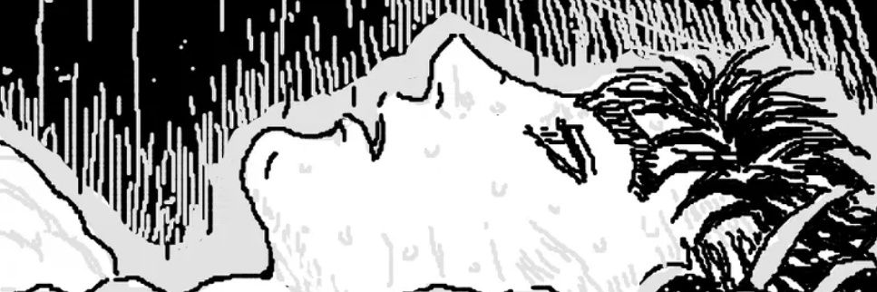 pelotulina's banner