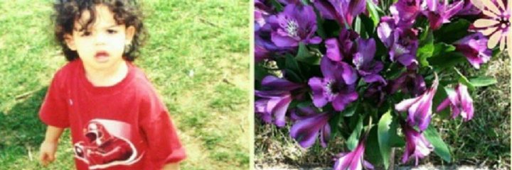 MISSCNN $1misscnn💃🏽Twitch/TikTok💔R.I.H Phoenix banner