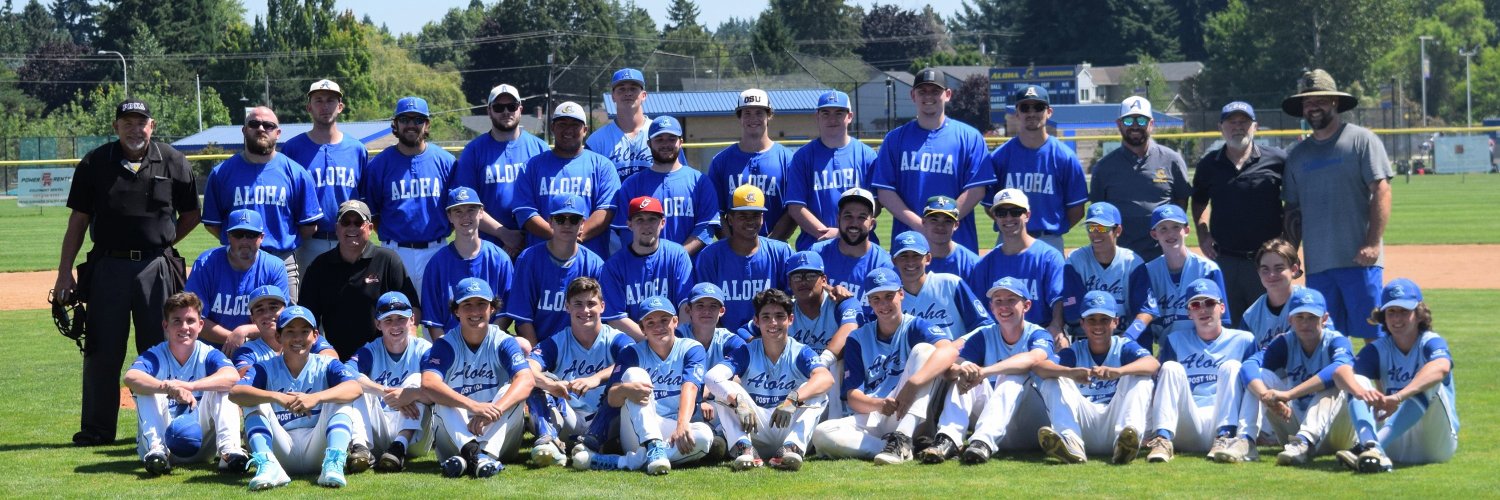 Aloha Warriors Baseball banner