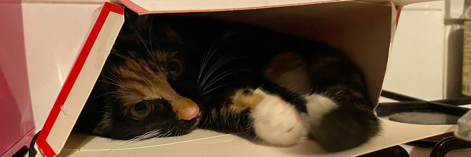 Karl Svendsen banner