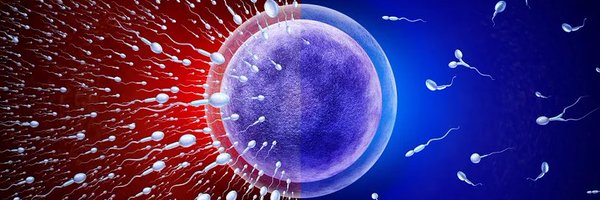 JoginderBidhan8 Profile Banner