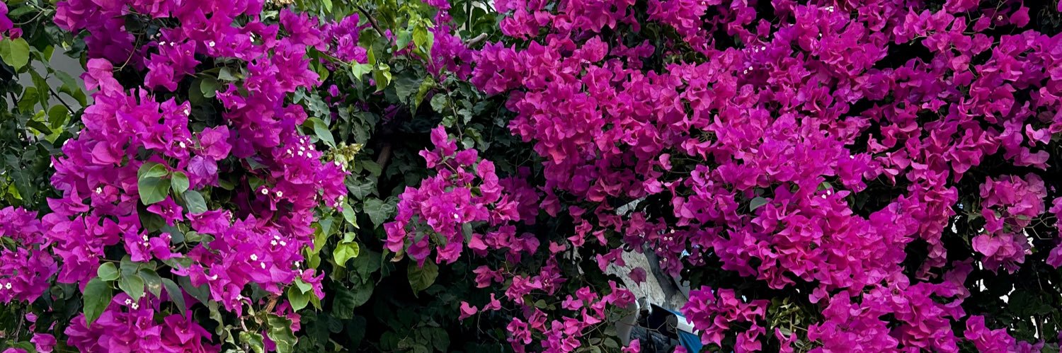 sedaogmenn's profile banner image