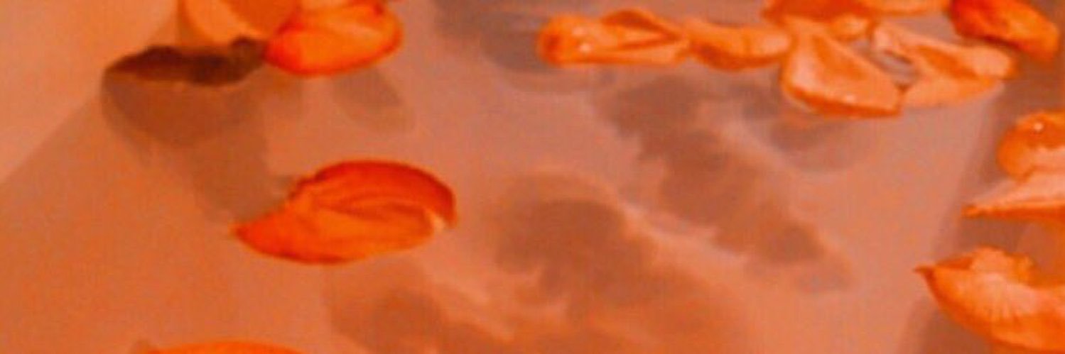 ZerosCorrupted's profile banner image