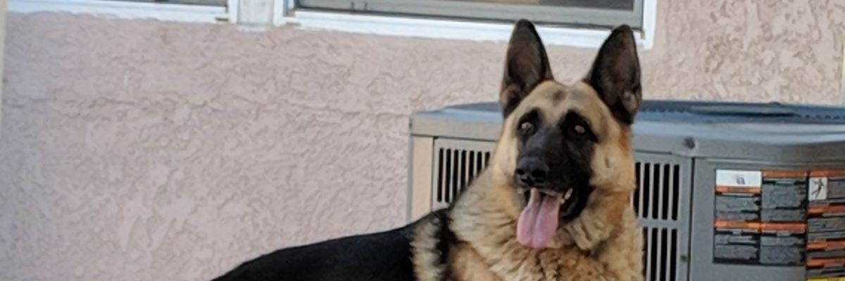 𝗙𝗼𝗿𝗱𝗙𝘂𝗞𝗻𝗥𝗮𝗻𝗴𝗲𝗿 banner