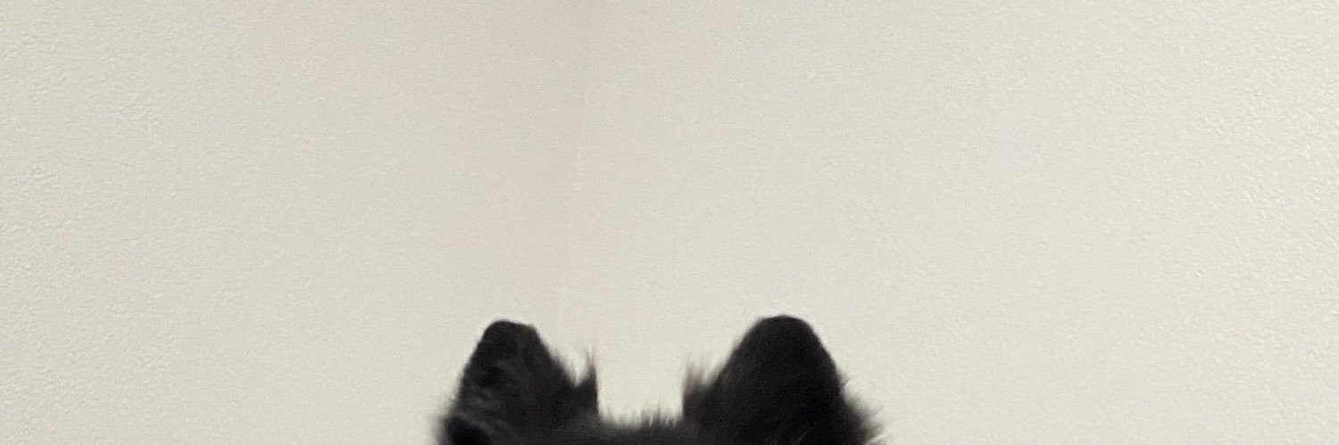 ファナ子 banner