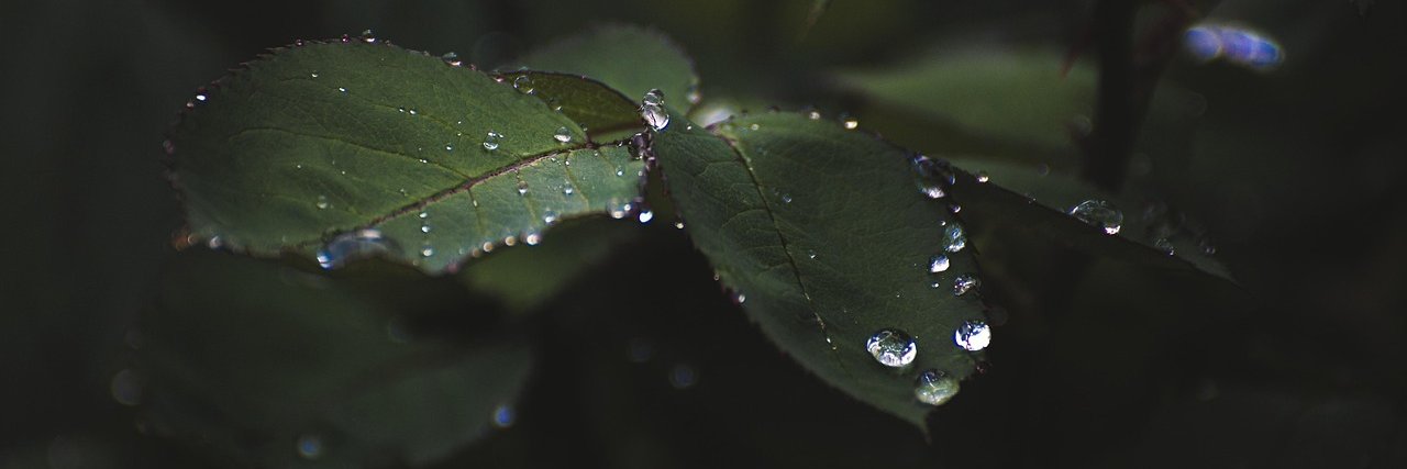 Javiru88's profile banner image