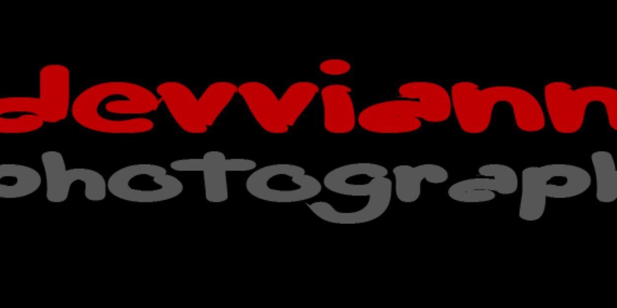 devviannphoto's profile banner image