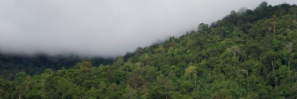 vivek_vasi Profile Banner