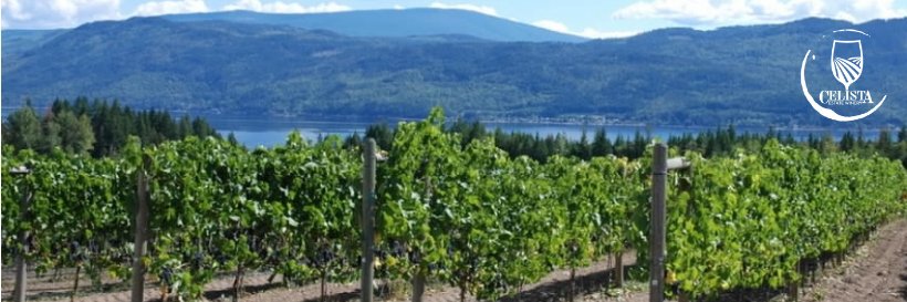 celistawine's profile banner image