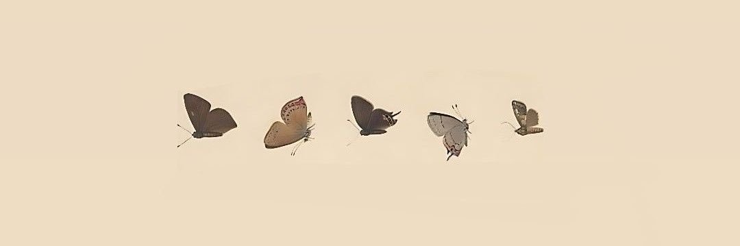 iiMahaba's profile banner image