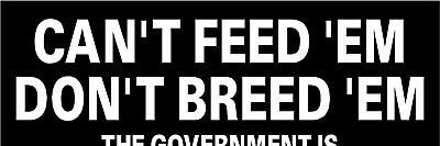 Matt banner