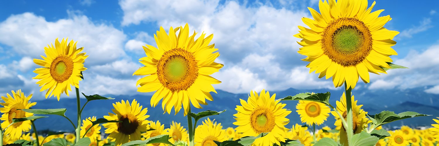 jagitam's profile banner image