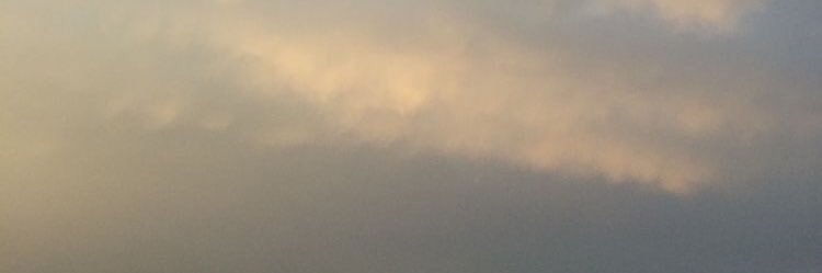 بنت سعود التميمية.. banner