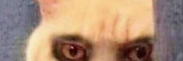 MikeyDarling90's profile banner image