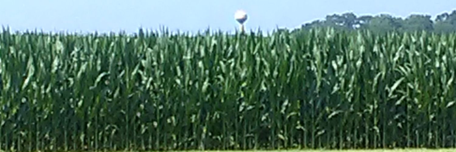 MaconKessler's profile banner image