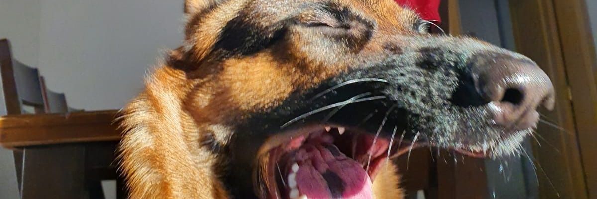KSharif5's profile banner image