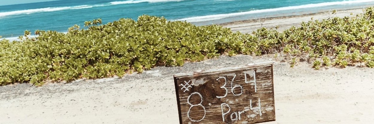 PaperChaseSA's profile banner image