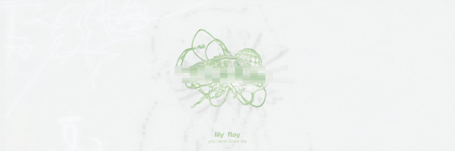 LILY FLAY's banner