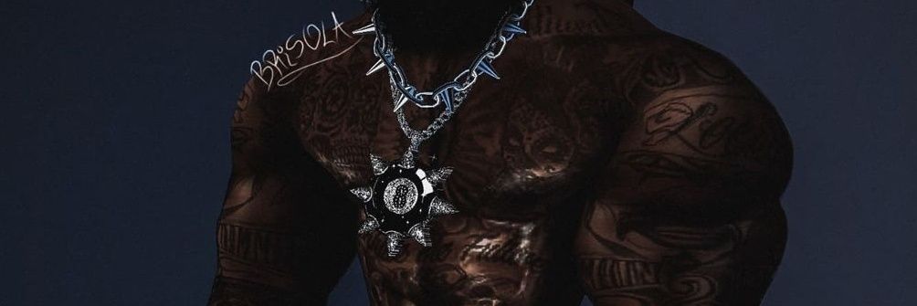 Bri🦇 banner