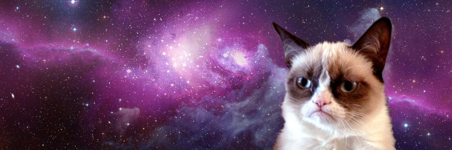 rachelroxs22's profile banner image