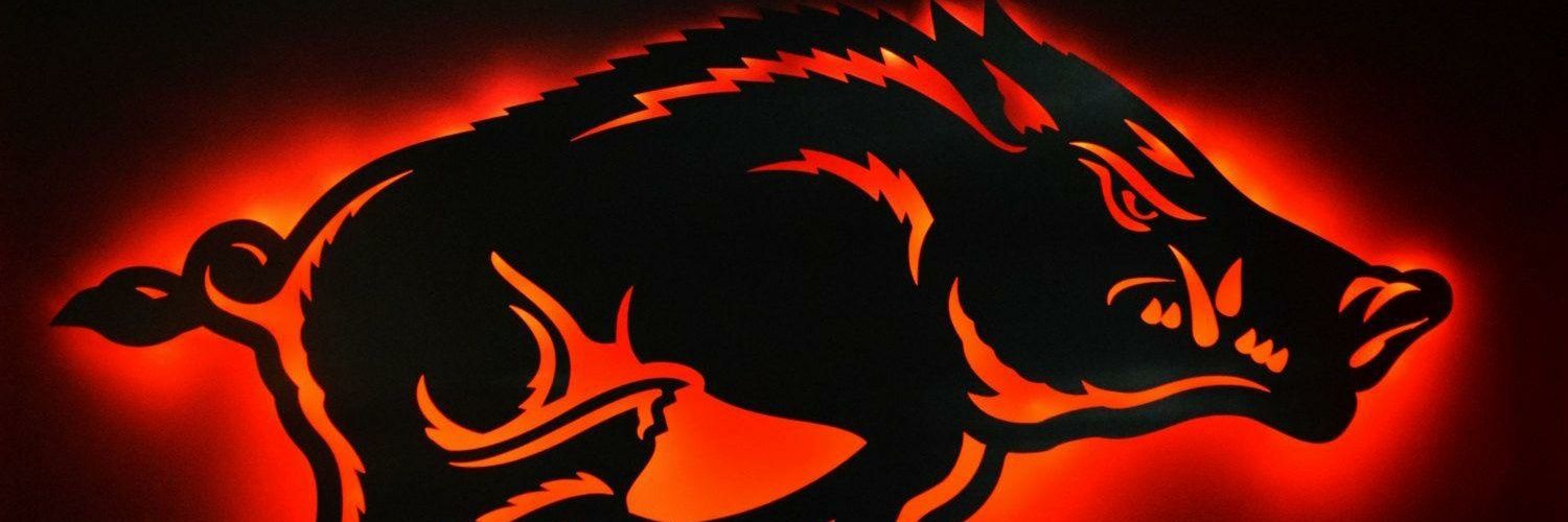 RazorbacksUSA banner